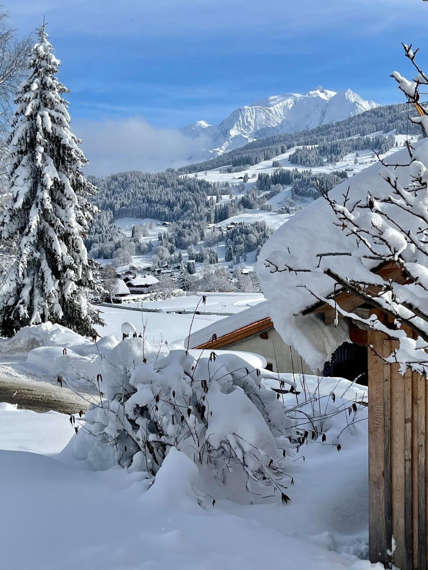 Chalet A Megeve-Vauvray - Grands Appartements , Vue Mont Blanc Деми-Картье Экстерьер фото