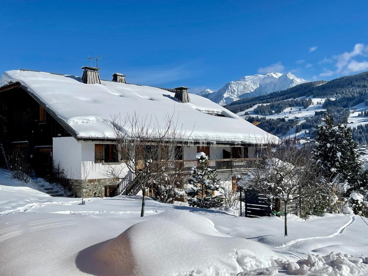 Chalet A Megeve-Vauvray - Grands Appartements , Vue Mont Blanc Деми-Картье Экстерьер фото