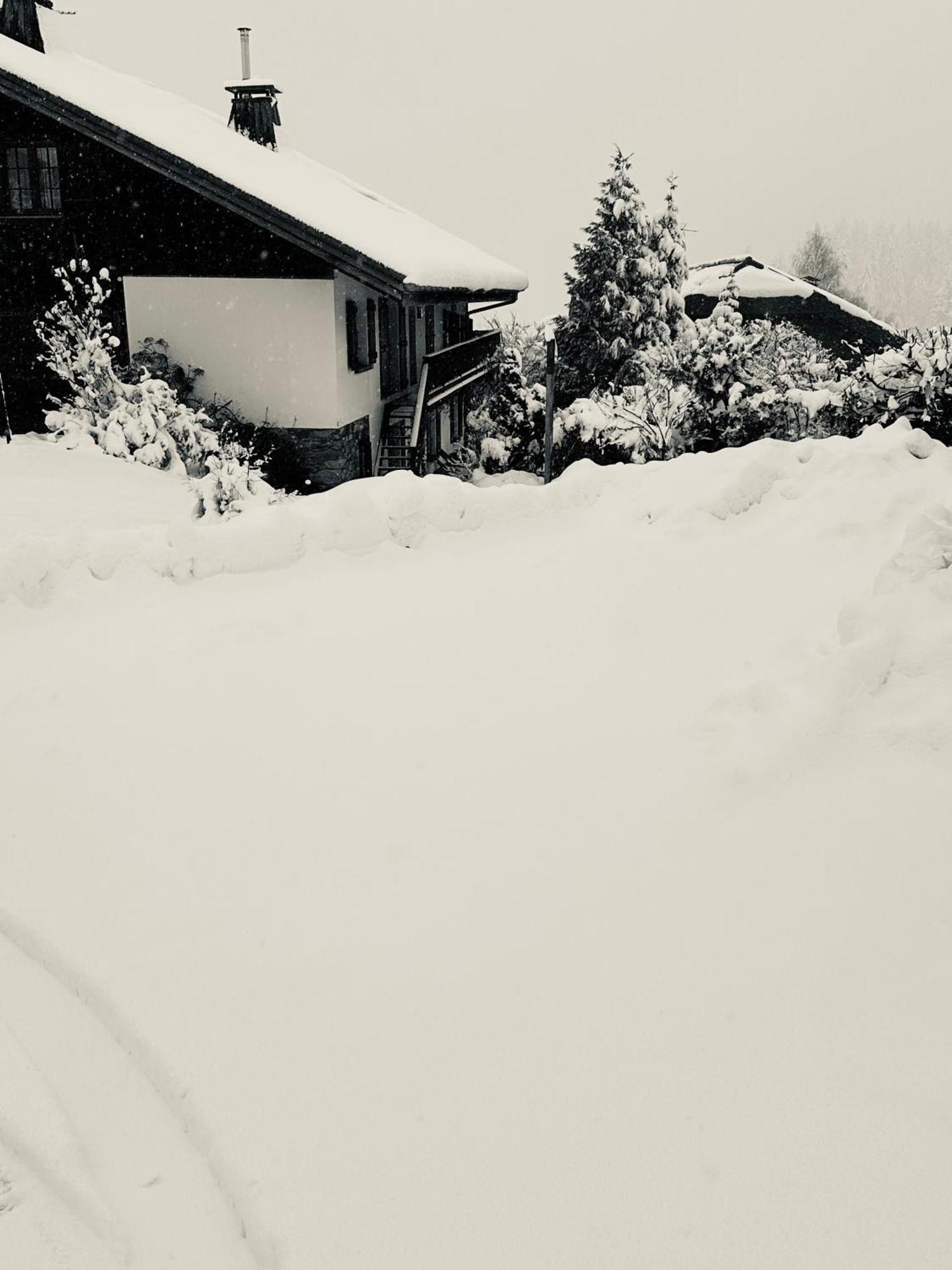 Chalet A Megeve-Vauvray - Grands Appartements , Vue Mont Blanc Деми-Картье Экстерьер фото