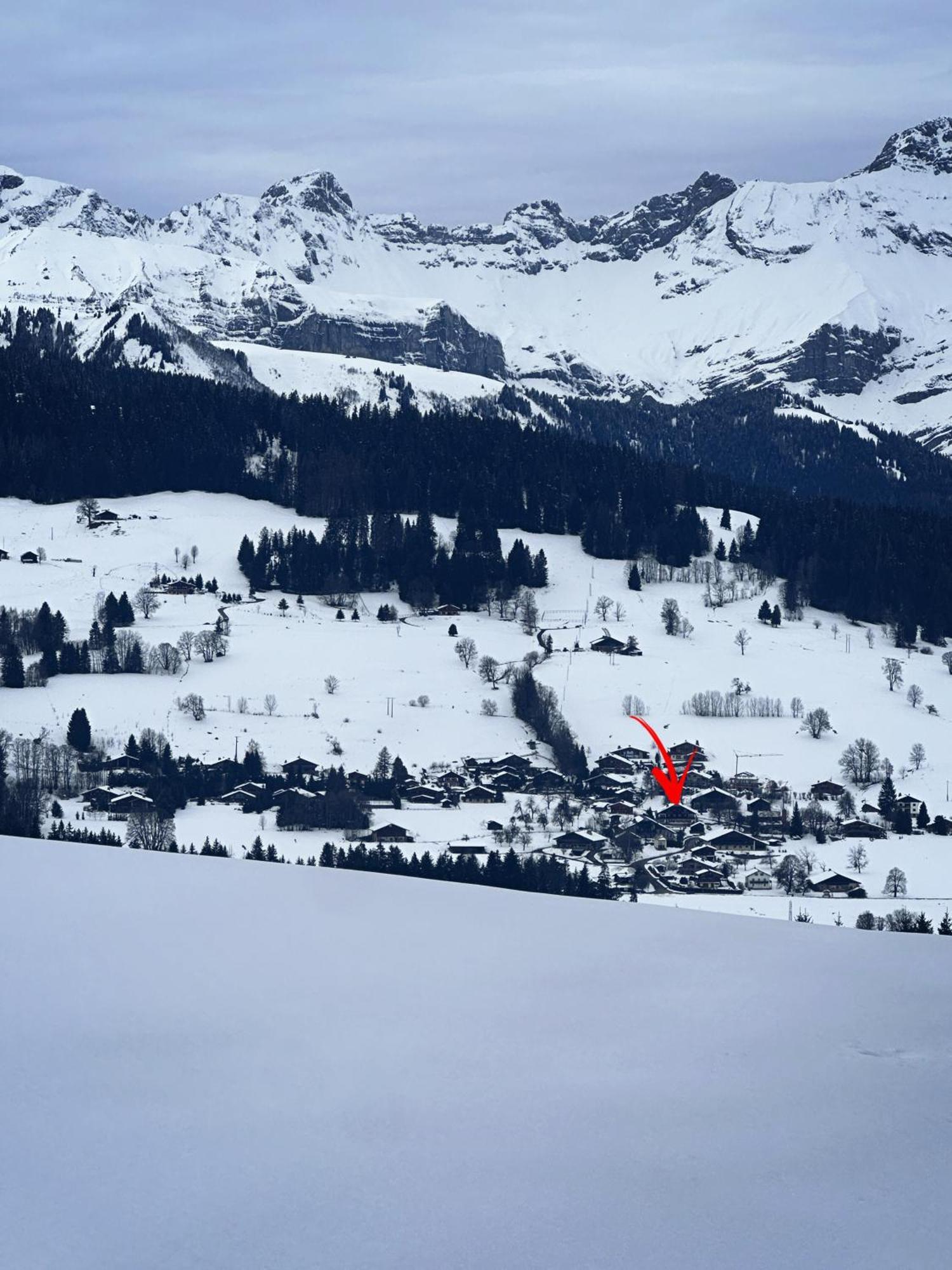Chalet A Megeve-Vauvray - Grands Appartements , Vue Mont Blanc Деми-Картье Экстерьер фото